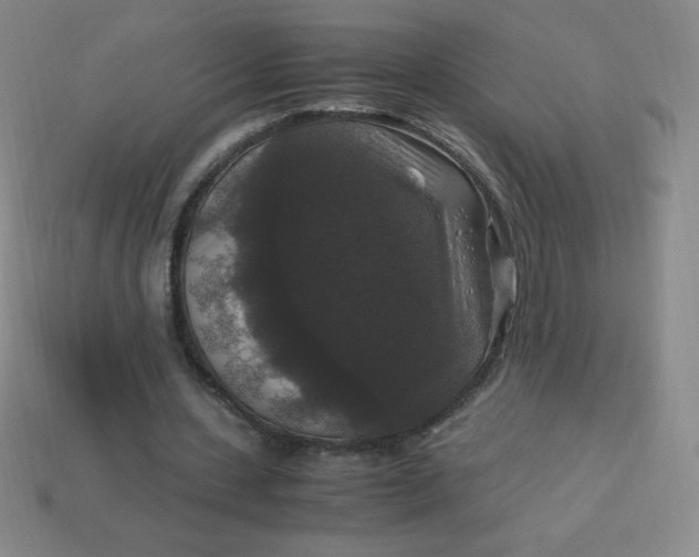 X0000113950531200910091611