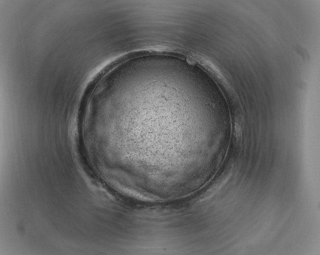 X0000113950532200910091611