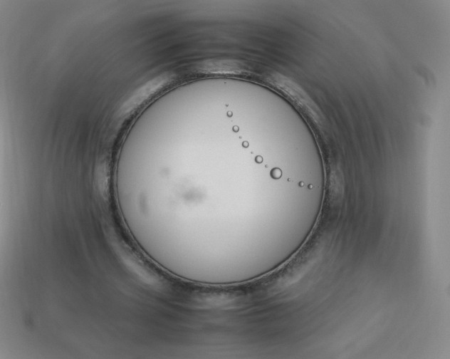X0000113950533200910091611