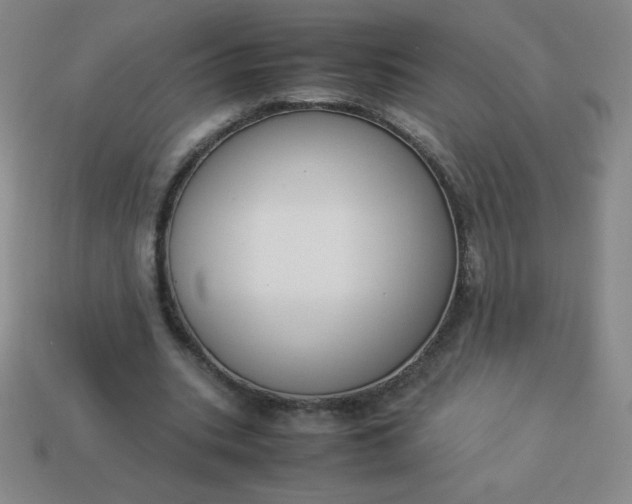 X0000113950535200910091611