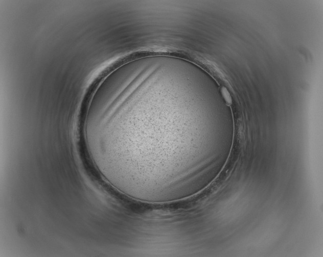X0000113950536200910091611