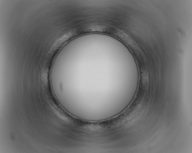 X0000113950537200910091611
