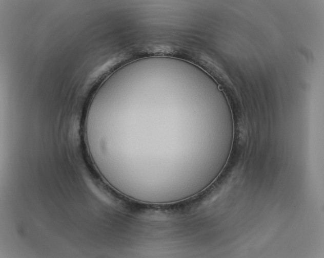 X0000113950538200910091611