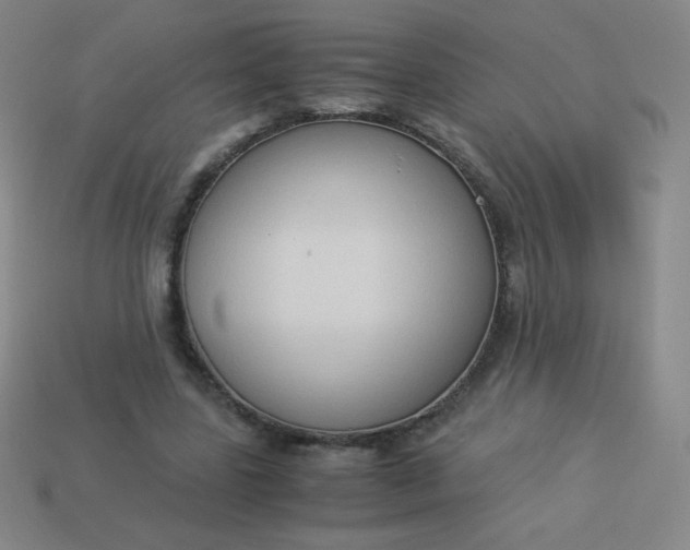 X0000113950539200910091611