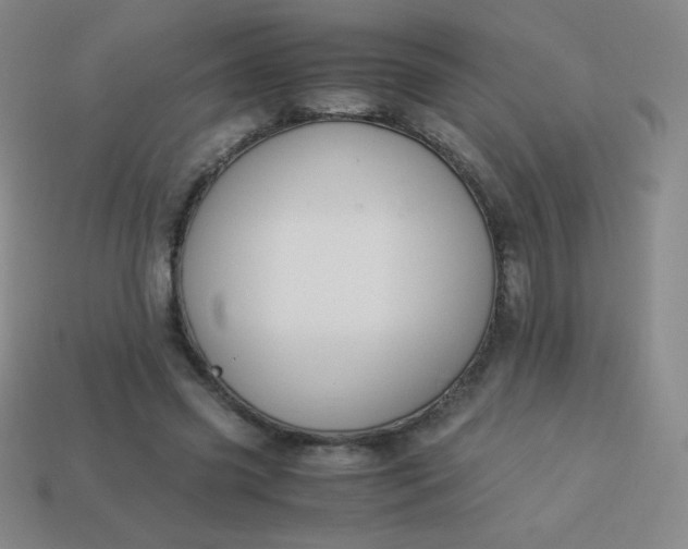 X0000113950541200910091611