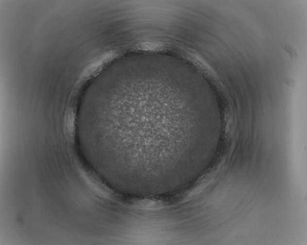 X0000113950542200910091611