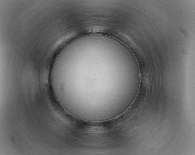 X0000113950543200910091611