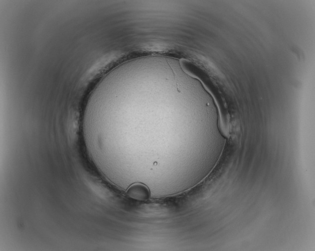 X0000113950544200910091611