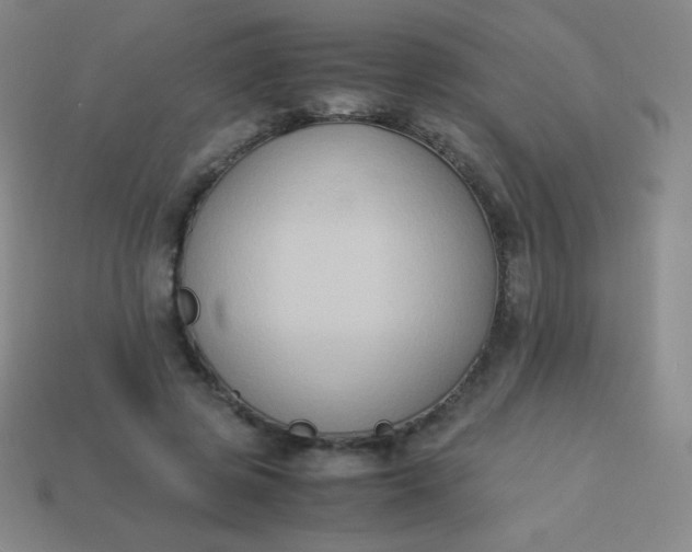 X0000113950545200910091611