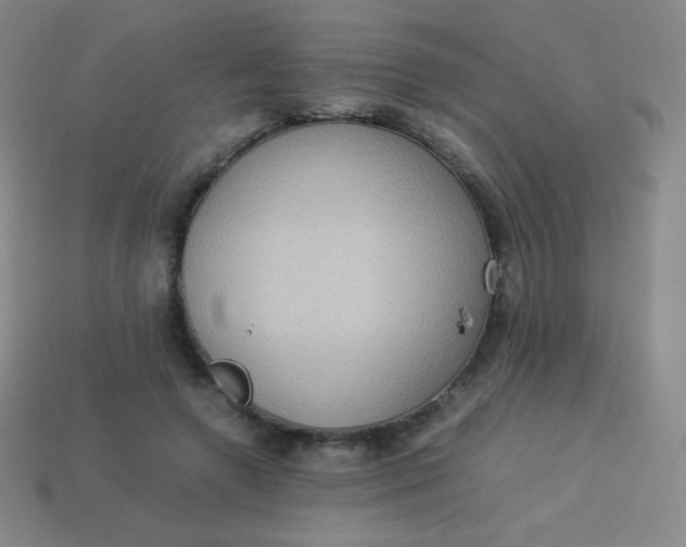 X0000113950546200910091611