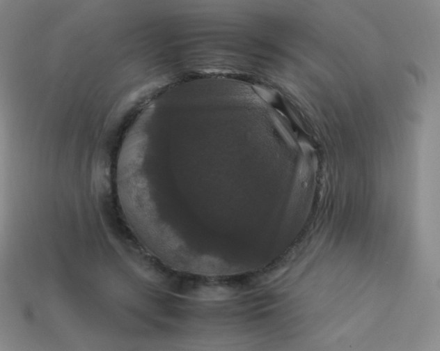 X0000113950547200910091611