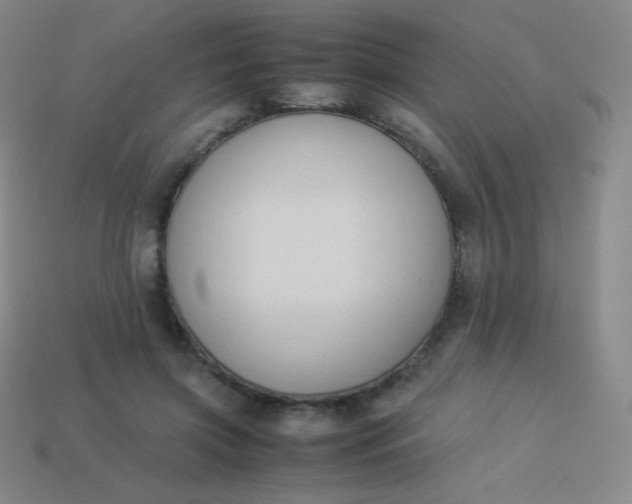 X0000113950549200910091611