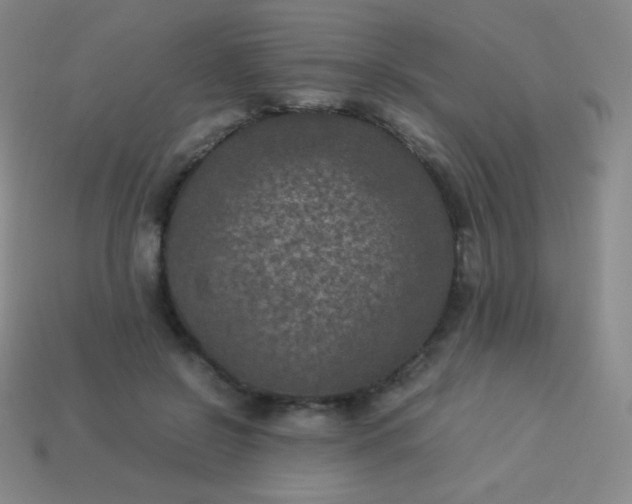 X0000113950550200910091611
