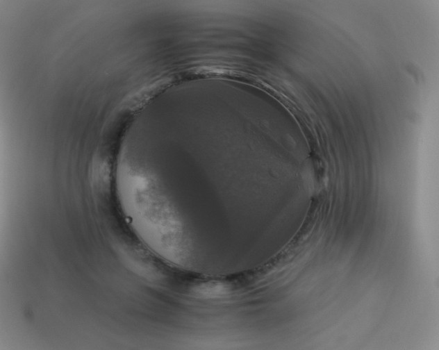 X0000113950551200910091611