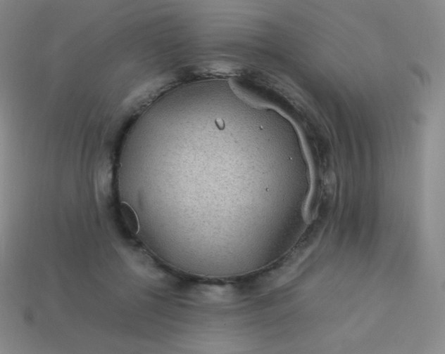 X0000113950552200910091611