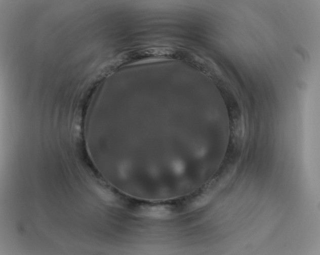 X0000113950553200910091611