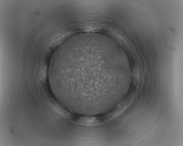 X0000113950554200910091611