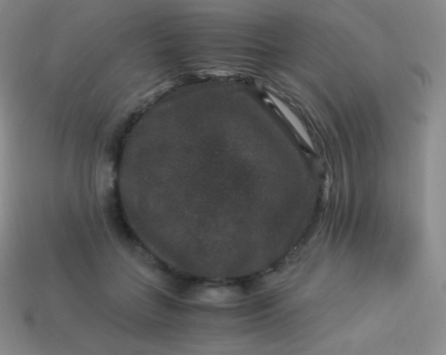 X0000113950555200910091611
