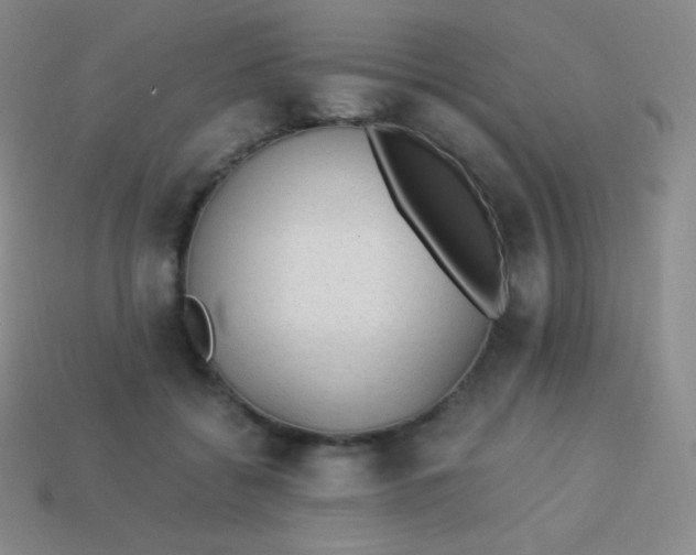 X0000113950556200910091611