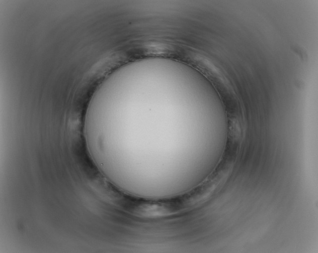 X0000113950557200910091611