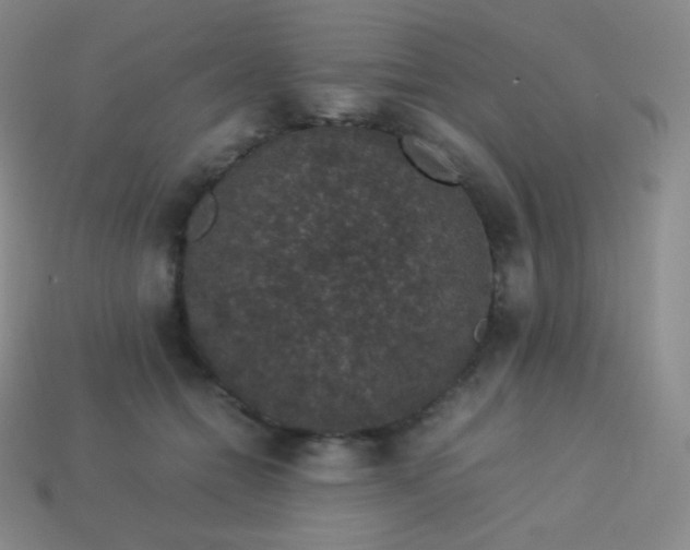 X0000113950558200910091611