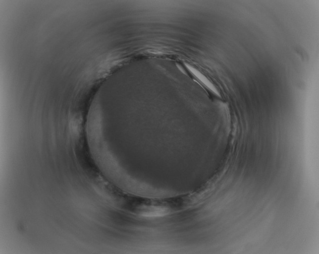 X0000113950559200910091611