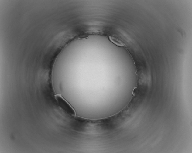 X0000113950560200910091611