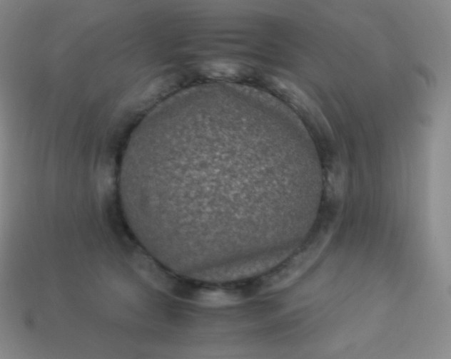 X0000113950561200910091611