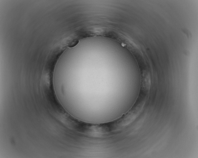 X0000113950562200910091611