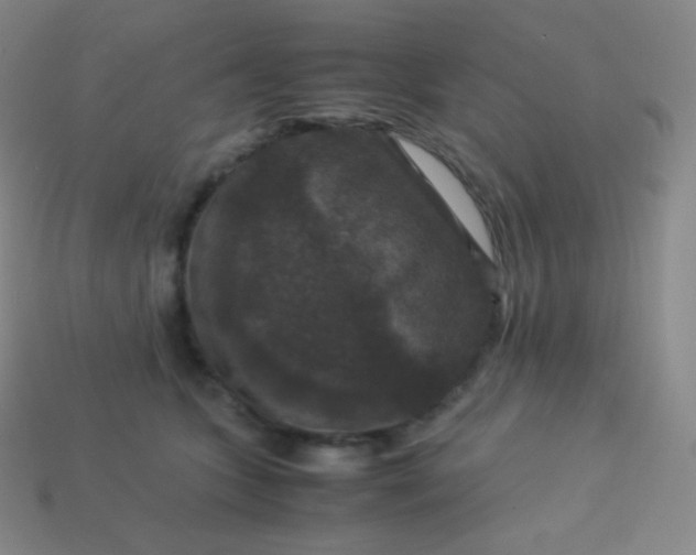 X0000113950563200910091611