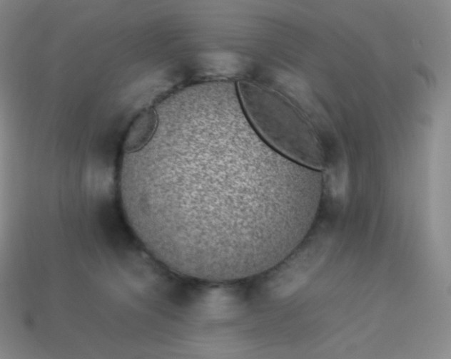 X0000113950564200910091611