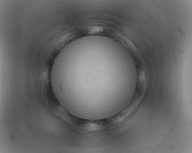 X0000113950565200910091611