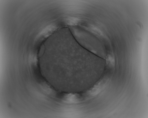 X0000113950566200910091611