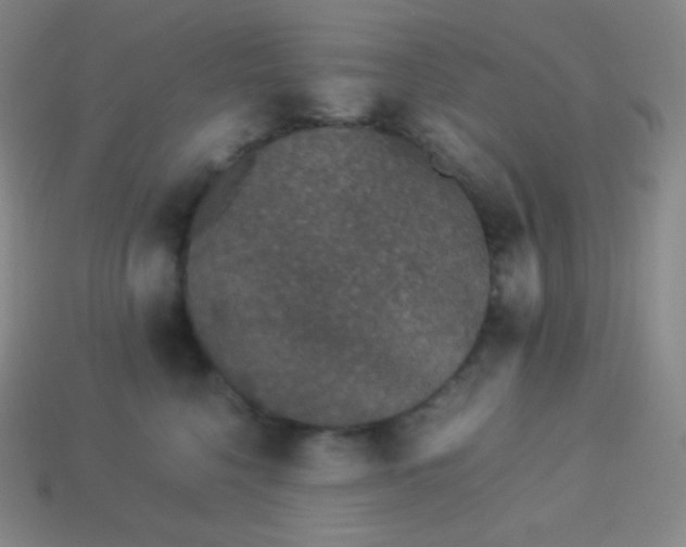 X0000113950568200910091611