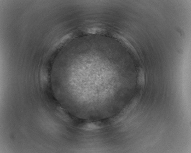 X0000113950569200910091611