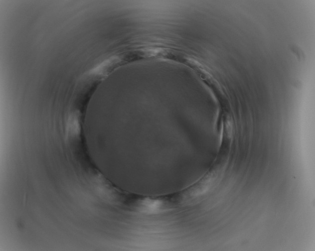 X0000113950570200910091611