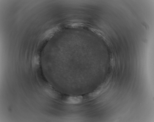 X0000113950571200910091611