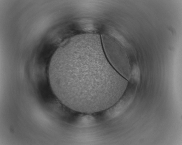 X0000113950572200910091611