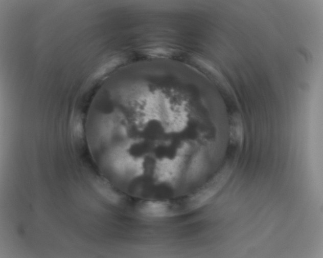 X0000113950573200910091611