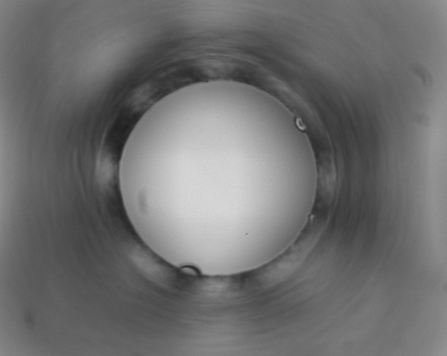 X0000113950574200910091611