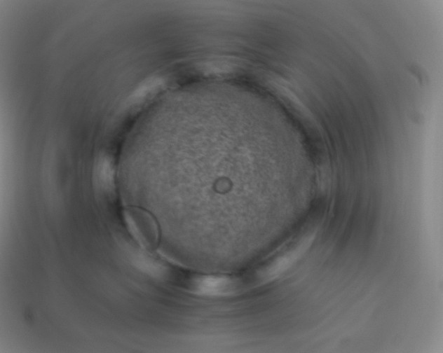 X0000113950575200910091611