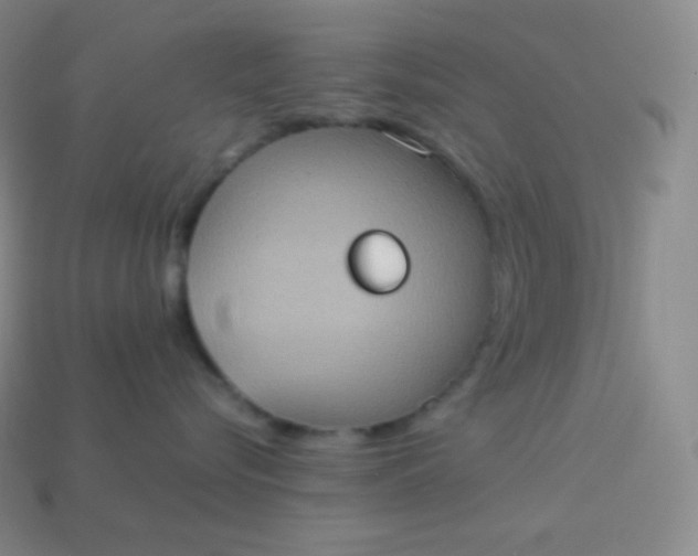 X0000113950576200910091611