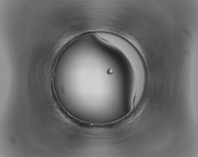 X0000113950577200910091611