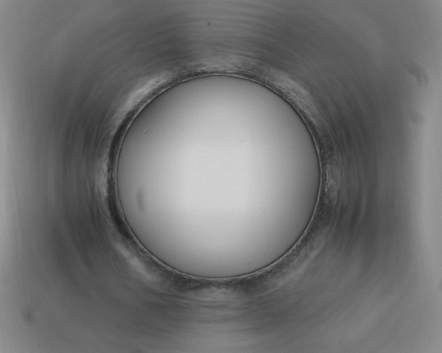 X0000113950578200910091611
