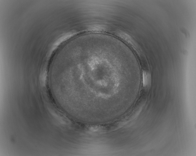 X0000113950579200910091611