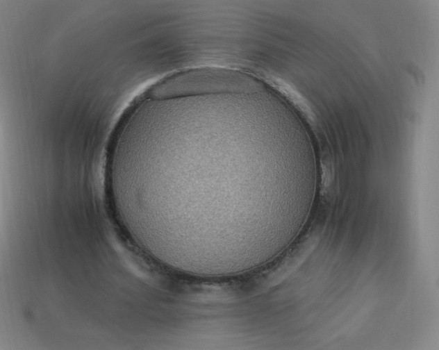 X0000113950580200910091611