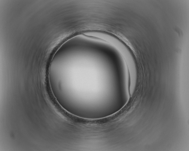 X0000113950581200910091611