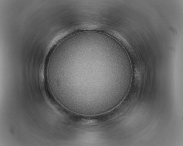 X0000113950582200910091611