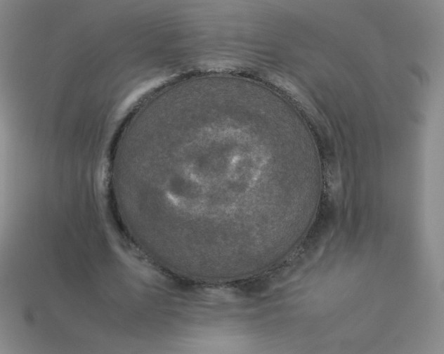 X0000113950583200910091611
