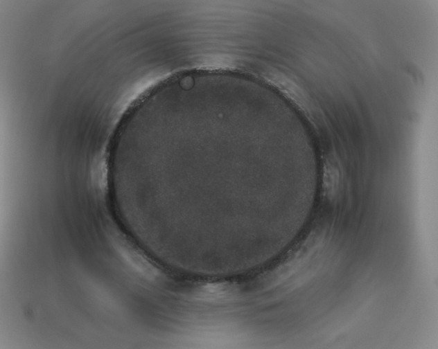 X0000113950584200910091611
